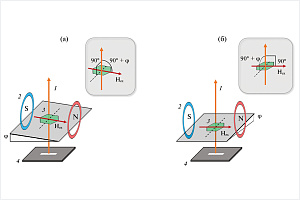 Динамика магнитной доменной структуры в монокристаллах бората железа во внешних полях