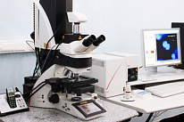 Лазерный конфокальный сканирующий микроскоп Leica TCS SPE