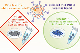 Разработаны наноразмерные капсулы эффективно уничтожающие опухолевые клетки